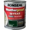 Ronseal 10 Year Weatherproof Paint Gloss Racing Green 750ml -RONSEAL SHOP ronseal 10 year weatherproof paint gloss racing green 750ml L 12672859 23695492 1